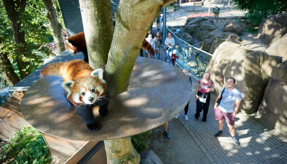 Odense Zoo, Odense, Funen, Denmark
